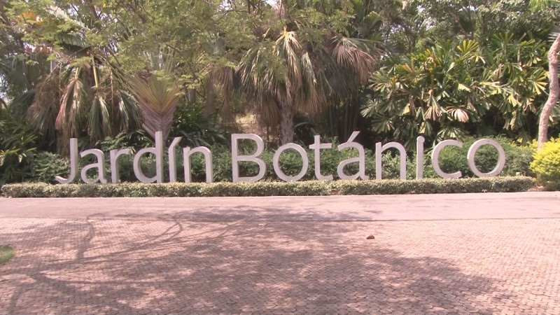 Atiende la SEMUJERES a joven violada supuestamente por un guardia del Jardín Botánico