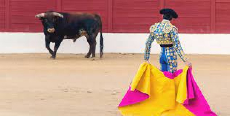 Confían que ya no se vete prohibición de corridas de toro en Sinaloa