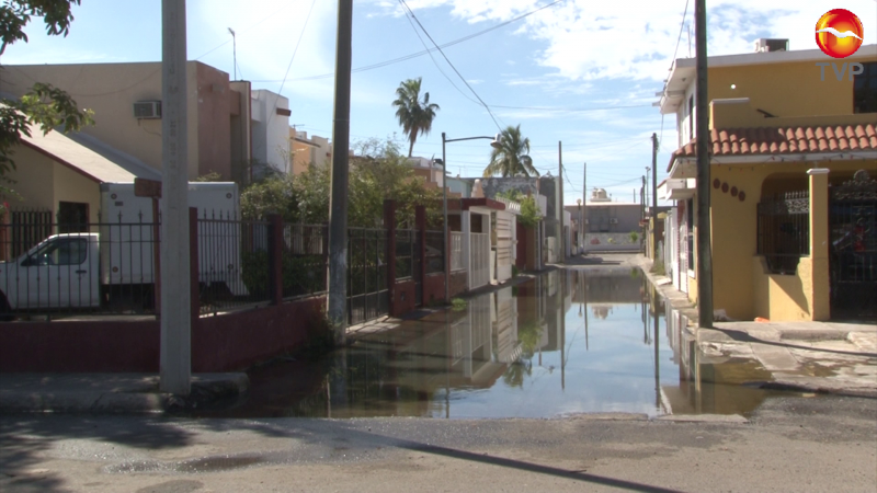 Por fuga de aguas negras, calle de Playa Azul está inundada