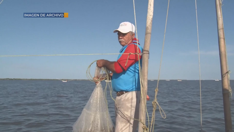 Comisión de Pesca recorrerá municipios para sostener encuentros con pescadores