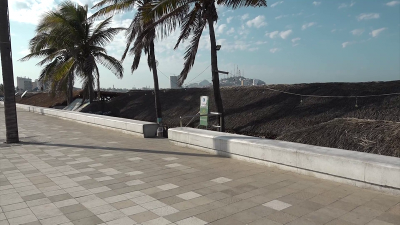 Pedirán ante SEMARNAT  regulación en imagen del malecón