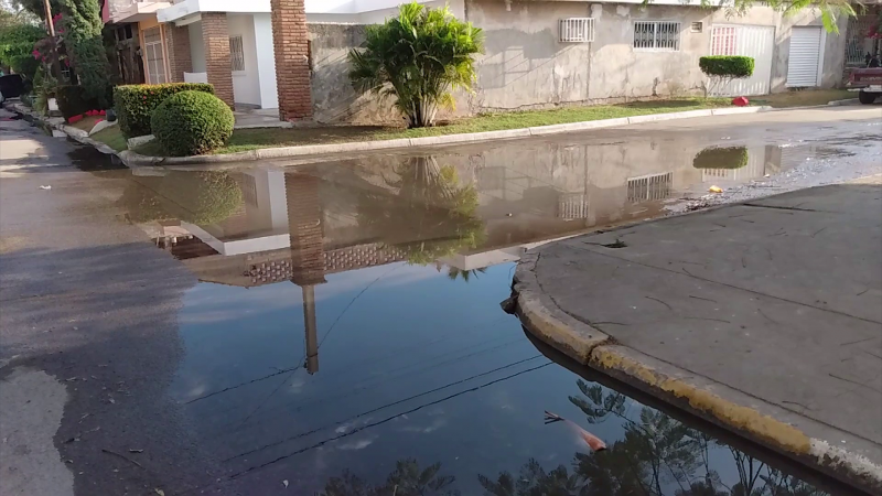 Litros y litros de agua potable se tiran en la colonia Morelos