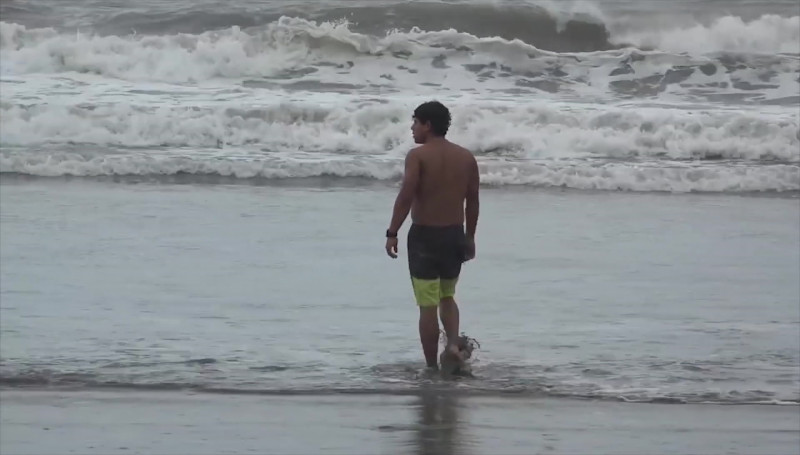 Alertan sobre presencia de Mantarrayas en playas mazatlecas