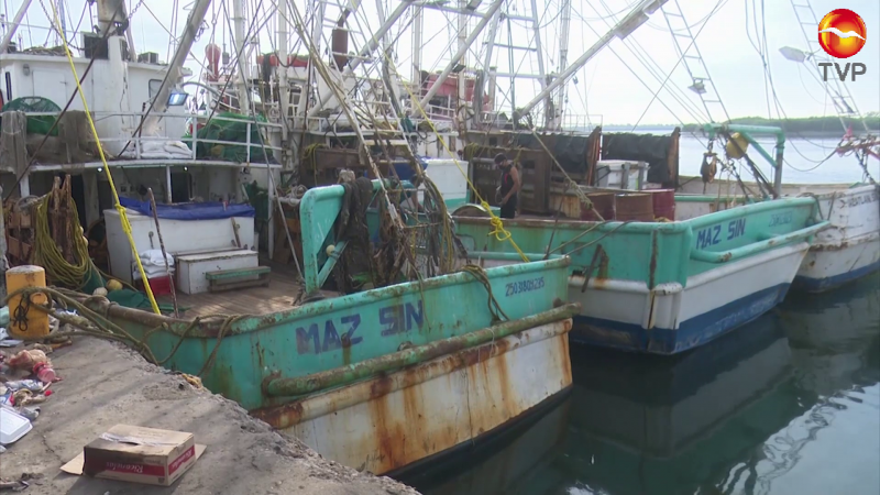 Después del 10 de abril se dan a conocer apoyos para pescadores: SEDECTUR