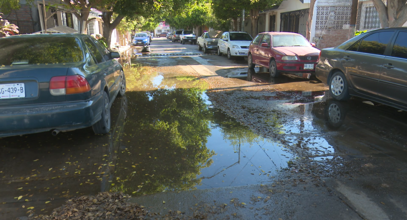 Vecinos del sector Arboledas reportan gran fuga de agua potable