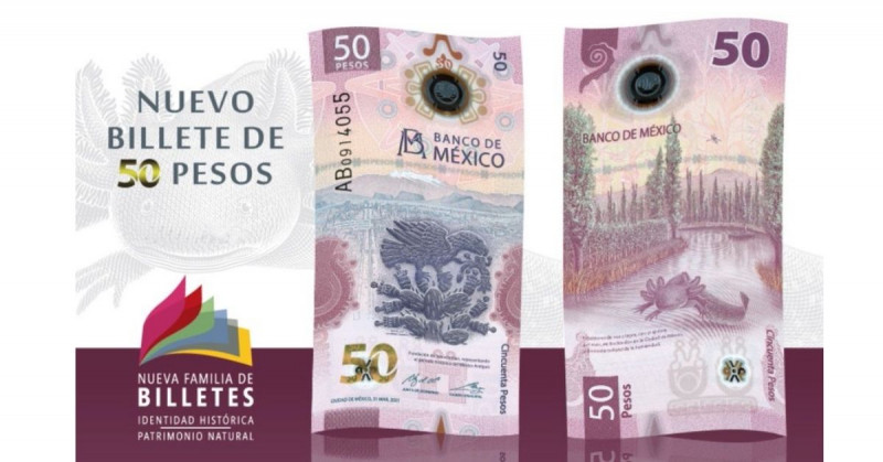El ajolotito de 50 pesos brilla y gana el premio al Billete de Banco del Año