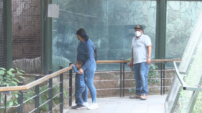 Un atractivo más Culiacán el Zoológico para esta Semana Santa