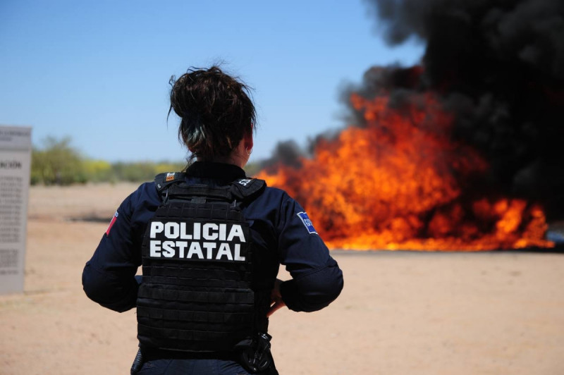 Destruyen más de cuatro toneladas de narcóticos en Sonora y se evita que lleguen a los jóvenes