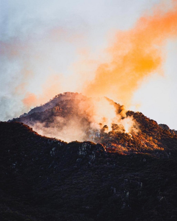 Avanza de forma efectiva combate a incendio forestal en Álamos, catalogado como el más devastador en los últimos 20 años.