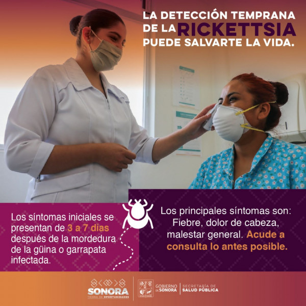 Llama Salud Sonora a mantener hogares limpios contra ricketsia.