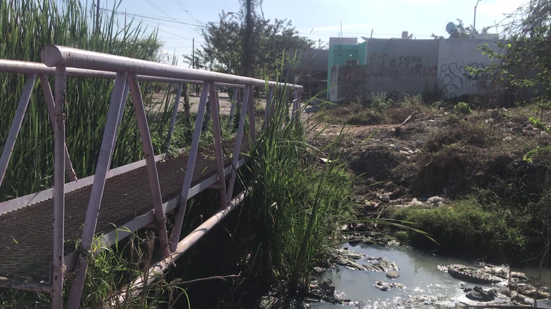 Piden construcción de puente para evitar cocodrilos en Santa Fe