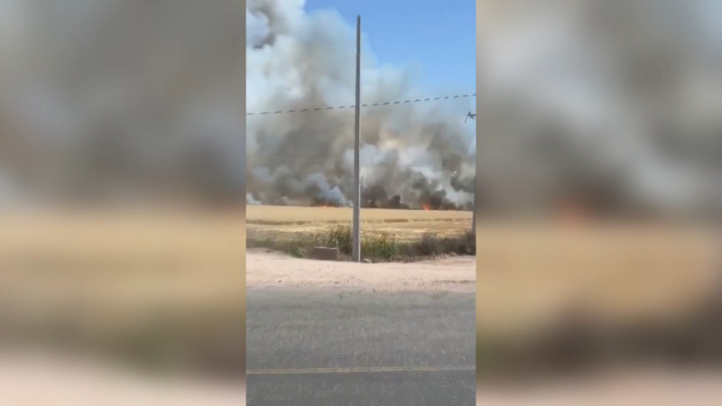 Se queman hectáreas de trigo en el Valle del Yaqui y Mayo.
