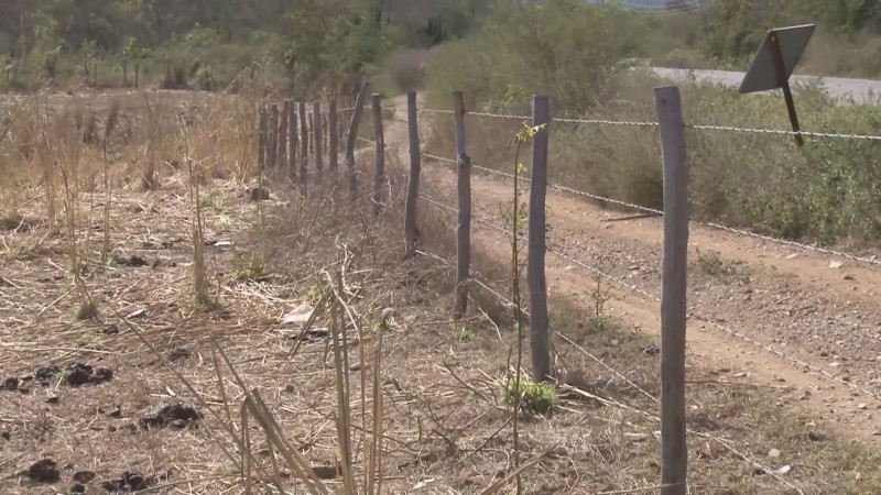 No hay alarma por sequía en Sinaloa