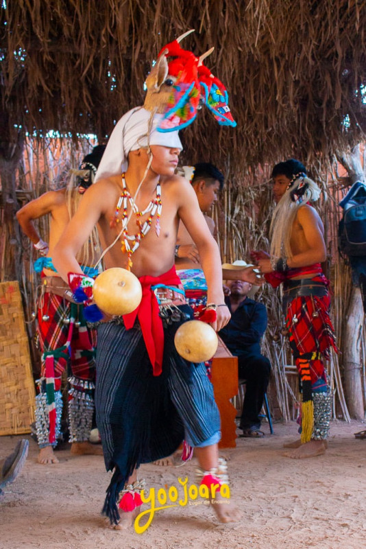 Invitan a  Cultura Viva Yaqui este domingo en el Yo’o Joara