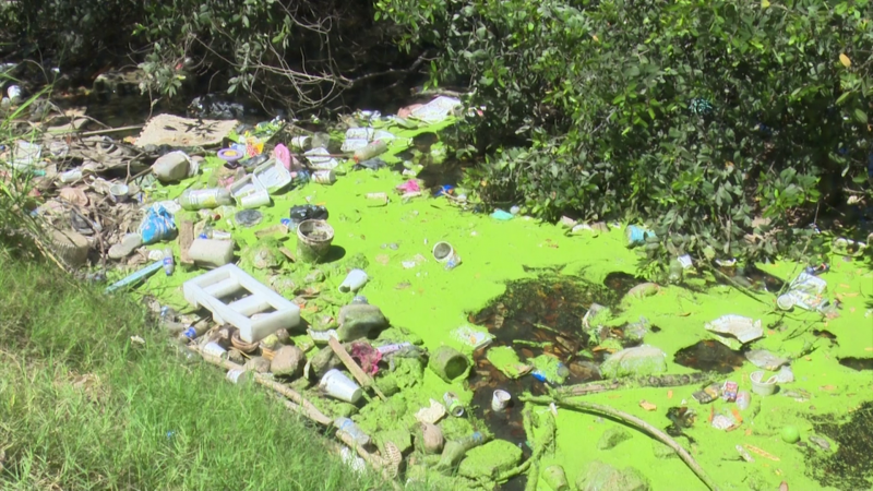 De 8 a 10 toneladas de basura han sacado de los canales pluviales en Mazatlán