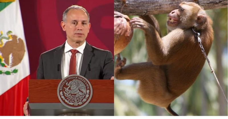 Se confirman cinco casos de viruela del mono en México