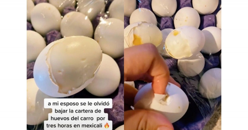 Cartera de huevos se coce tras pasar 3 horas en el calor de Mexicali
