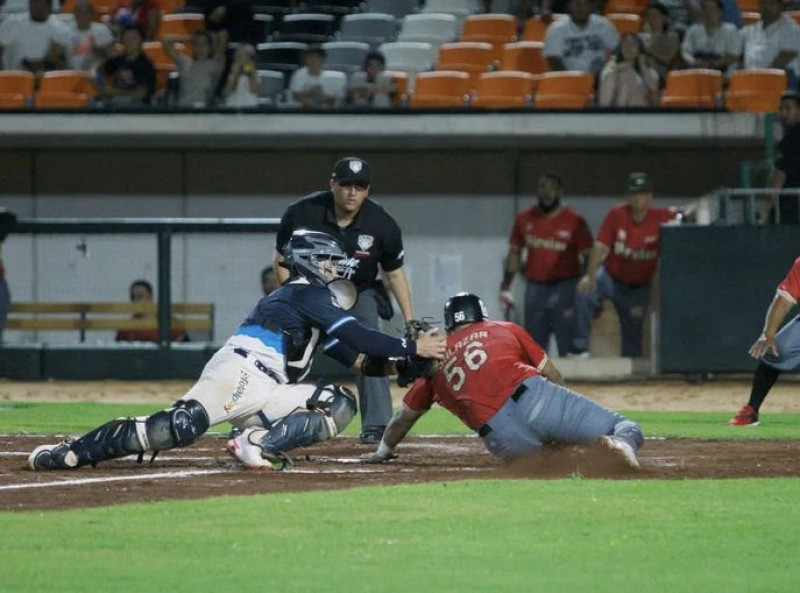 Bateo de tomateros en Verano con buena semana
