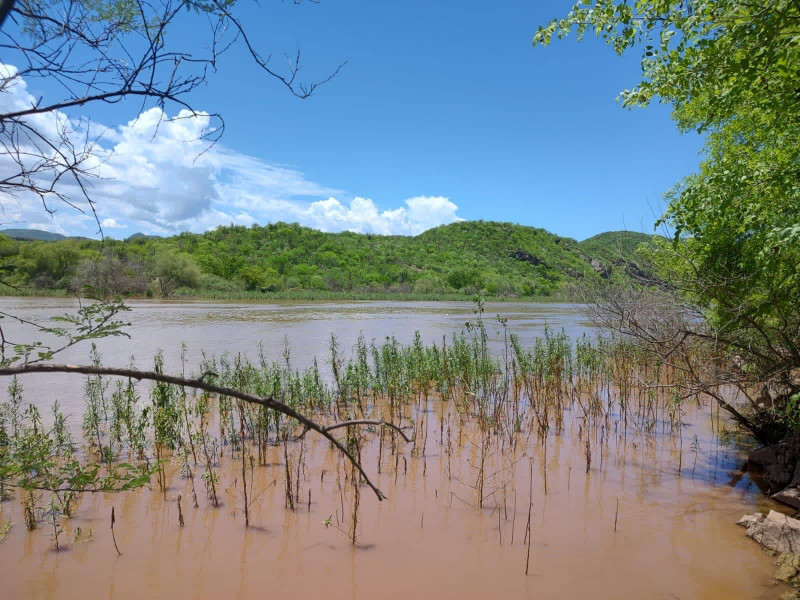 Se activan Bomberos de Álamos y Navojoa en busca de hombre en las aguas del Río Mayo