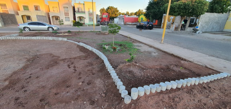 Vecinos se unen para hacer del parque de la colonia Misión del Real una zona herbolaria