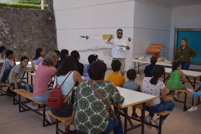 Se beneficia a niñas y niños de Guaymas Norte con actividades de recreación social en Delfinario Sonora: Secretaría de Seguridad