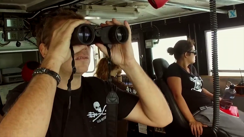 Sea Shepherd tiene su base en Mazatlán