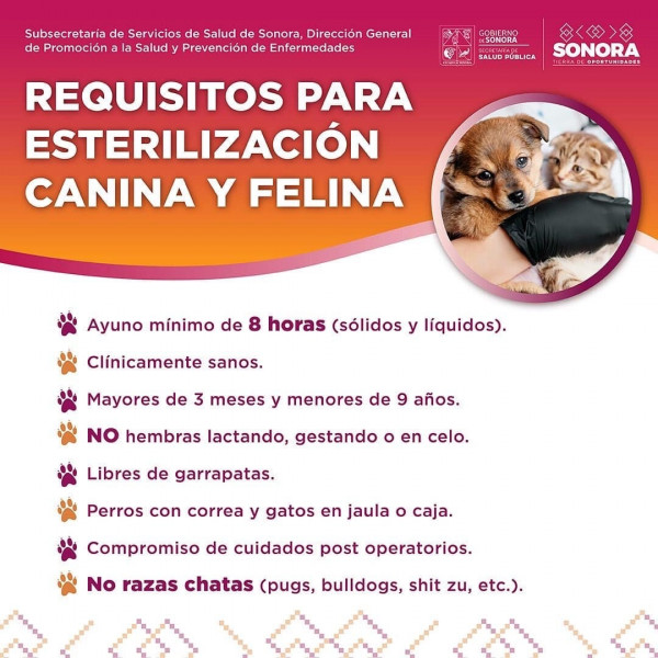 Invita Secretaría de Salud Sonora a la Jornada de Salud y Bienestar Canina y Felina en la colonia La Cholla de Hermosillo