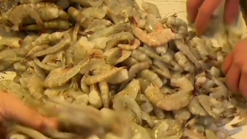 Por escasez en el mercado, aumenta precio de camarón de exportación