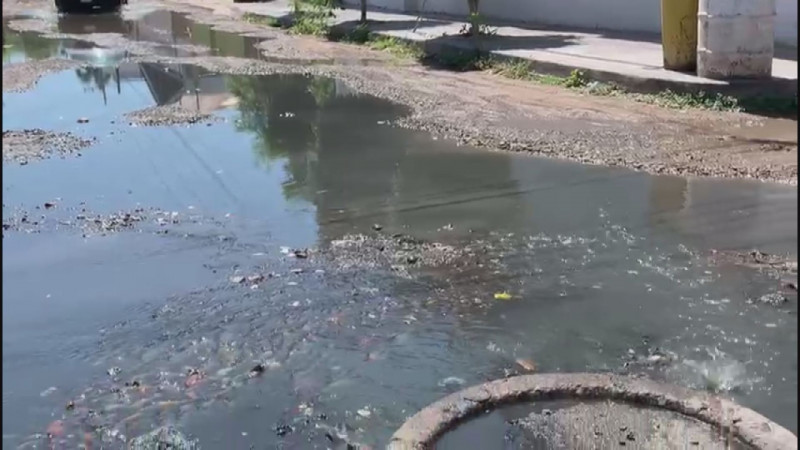 Pestilentes aguas negras en Bachigualato