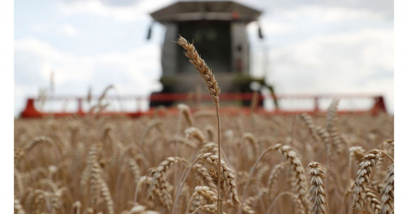 Rusia permite a Ucrania exportar cereales para aliviar una hambruna global