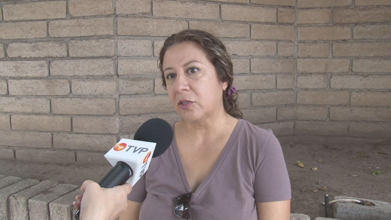 Sinaloa un estado sumido en la violencia contra las mujeres