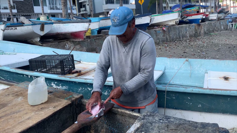Pescadores denuncian poca producción, clima y pesca ilegal son los que afectan