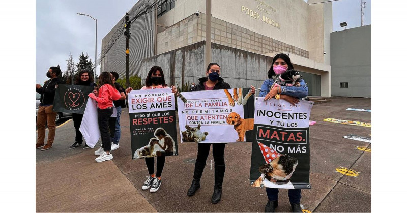 Juicio histórico: hasta 18 años de cárcel por envenenar a dos perros en Querétaro
