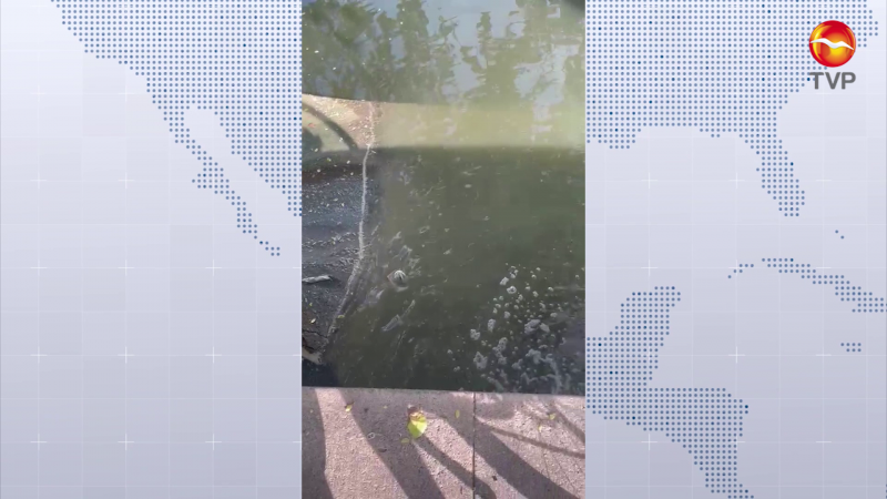 (Vídeo) Y otra vez... Fuga de drenaje en Estero del Yugo