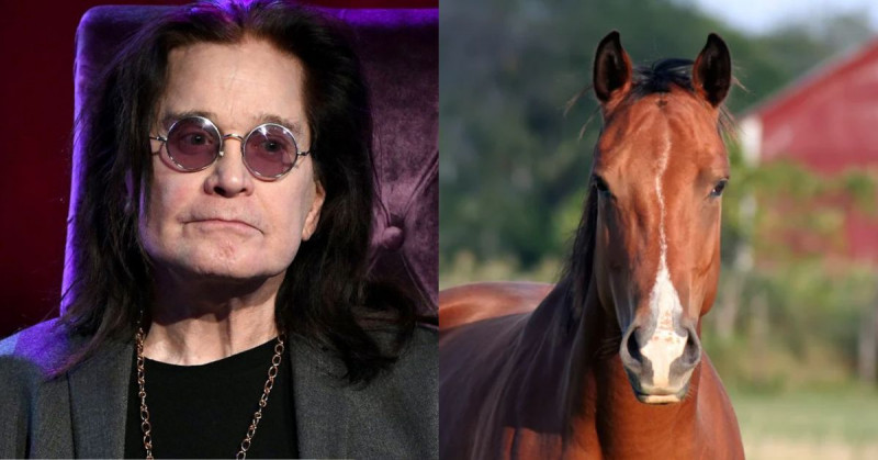 Ozzy Osbourne se animó a dejar las drogas tras hablar con un caballo por una hora