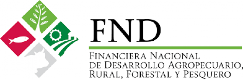 Financiera Nacional no puede desaparecer si hay irregularidades se deben corregir