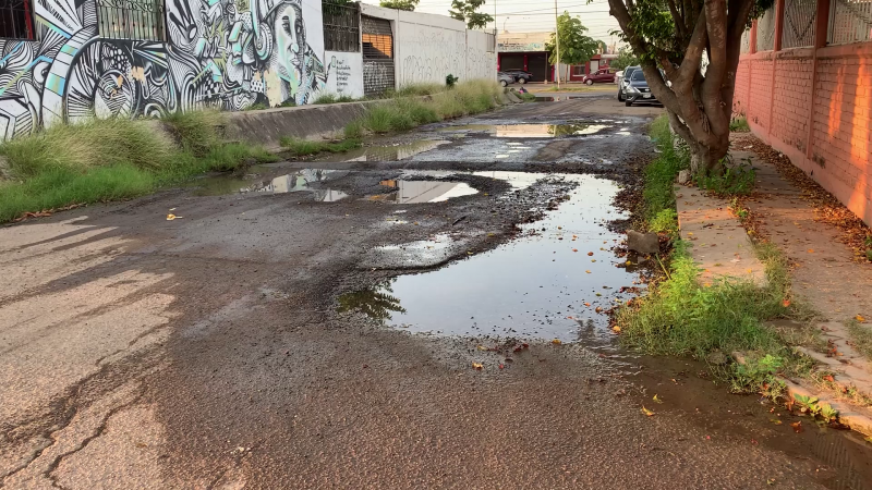 En pésimas condiciones se encuentra la calle La Palma en el Fraccionamiento San Joaquín