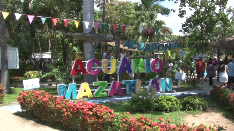Alta demanda de turistas en Acuario Mazatlán