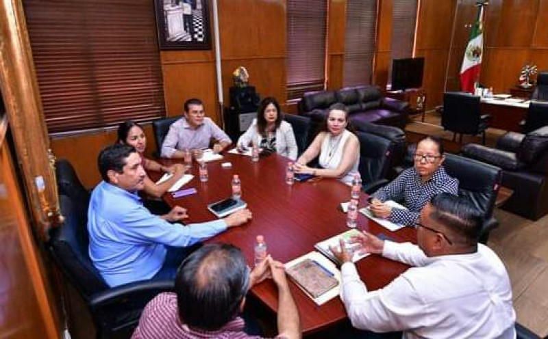 Observatorio Ciudadano vigilará adquisiciones de nuevas luminarias para Mazatlán