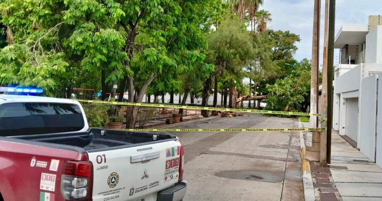 Encharcamiento y árboles caídos deja lluvia de esta madrugada