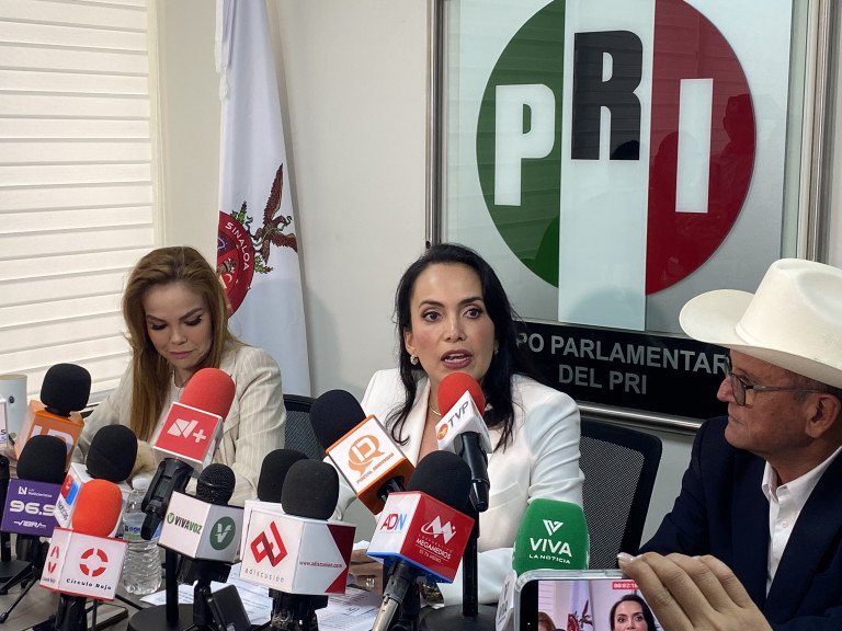 Sinaloa requiere un presupuesto que cubra las necedades :Irma Moreno