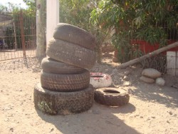 Aumenta cantidad de cacharros recolectados.