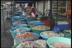 Al 80% repuntan las ventas de camarón en verano