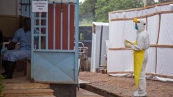 OMS: Se necesitan 100 millones de dólares para combatir el ébola