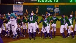 Delfines de Ciudad del Carmen, logran pase a play offs en la LMB.
