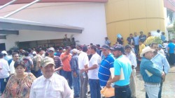 Dificultades en feria del empleo para el extranjero