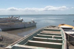 Denuncian discriminación en el Propesca