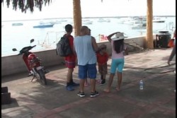 Restringen paseos de catamaranes por oleaje de "Marie"
