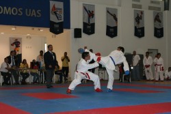 En proyecto gimnasio de artes marciales