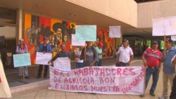 Exigen justa liquidación despedidos de agrícola en Guasave.